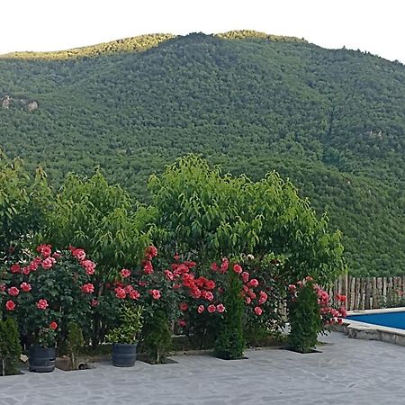 Green Garden Կանաչ Այգի Иджеван Екстериор снимка