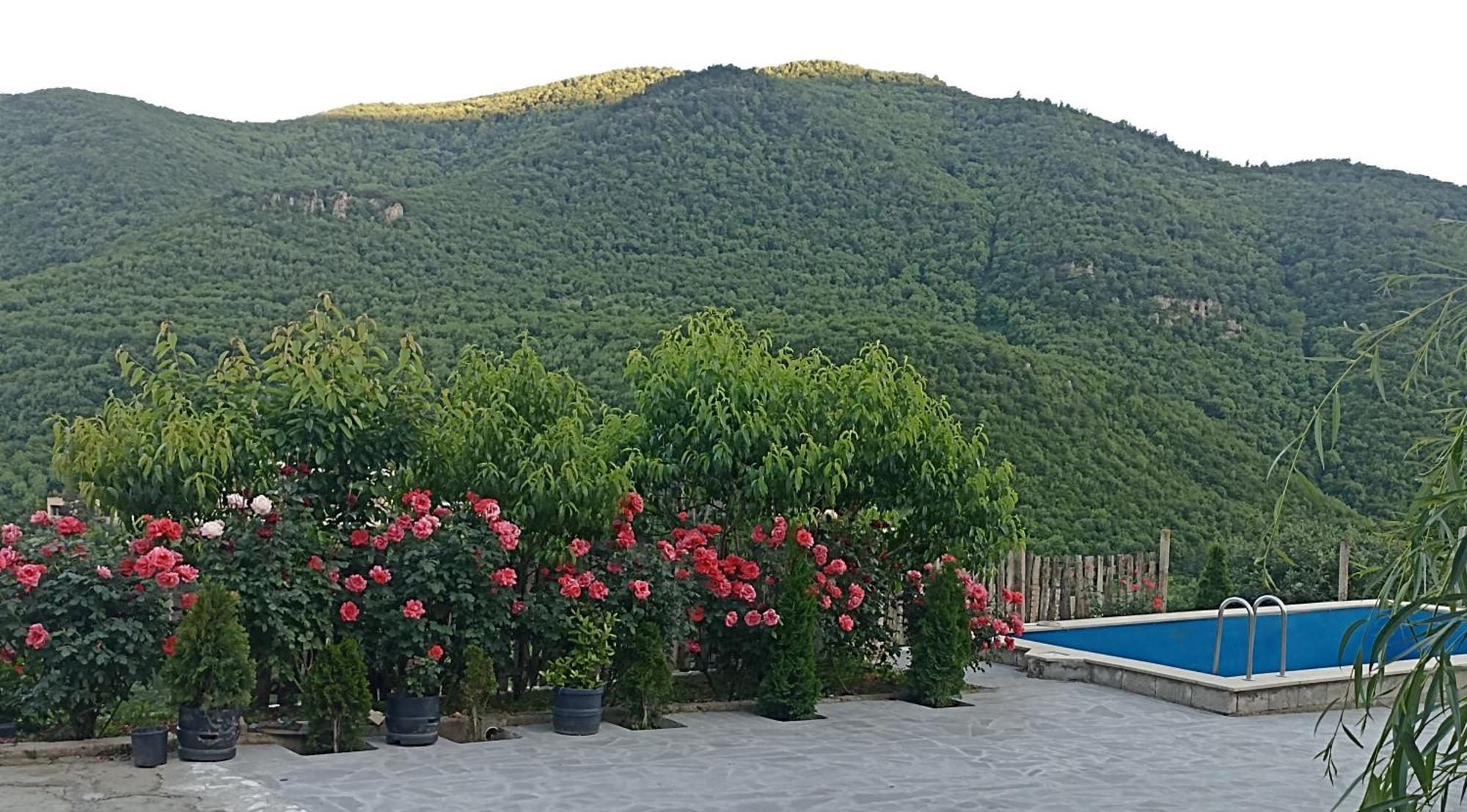 Green Garden Կանաչ Այգի Иджеван Екстериор снимка