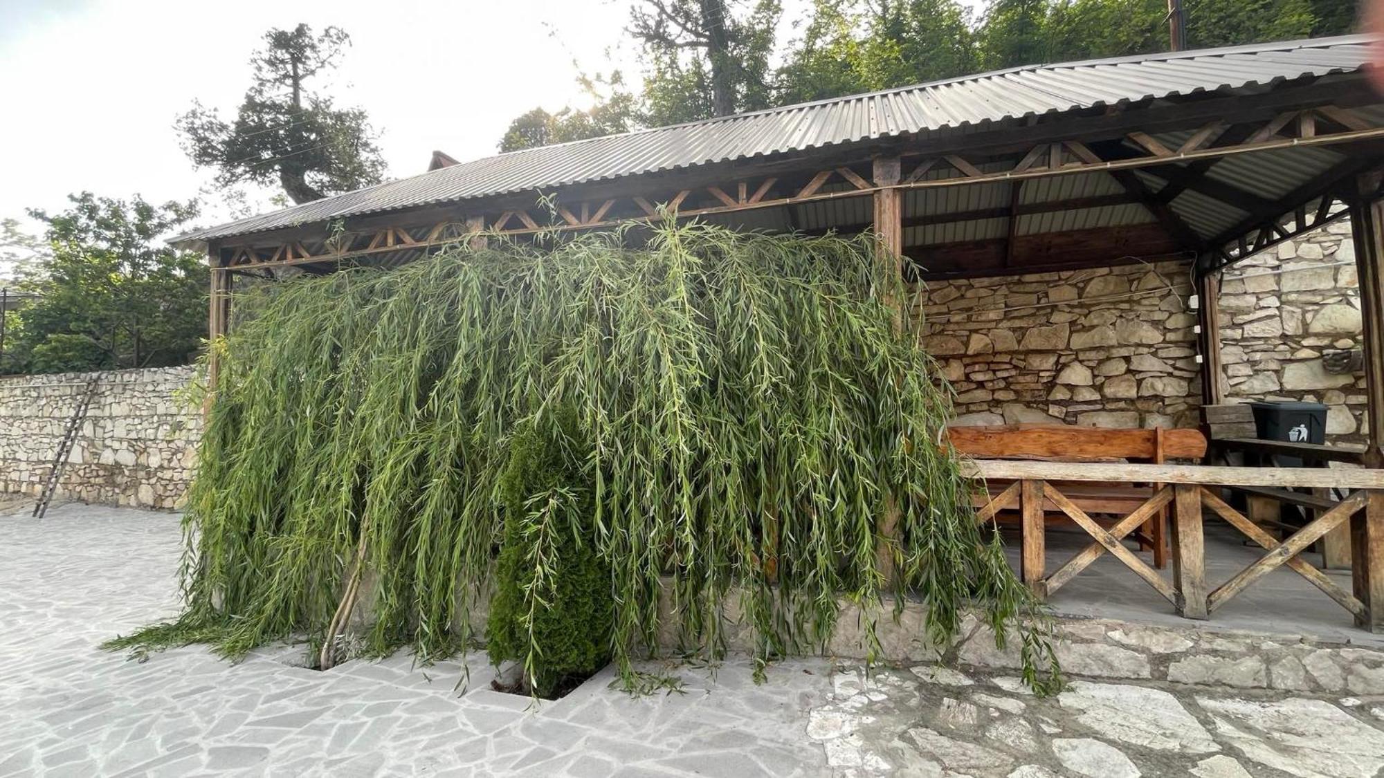 Green Garden Կանաչ Այգի Иджеван Екстериор снимка