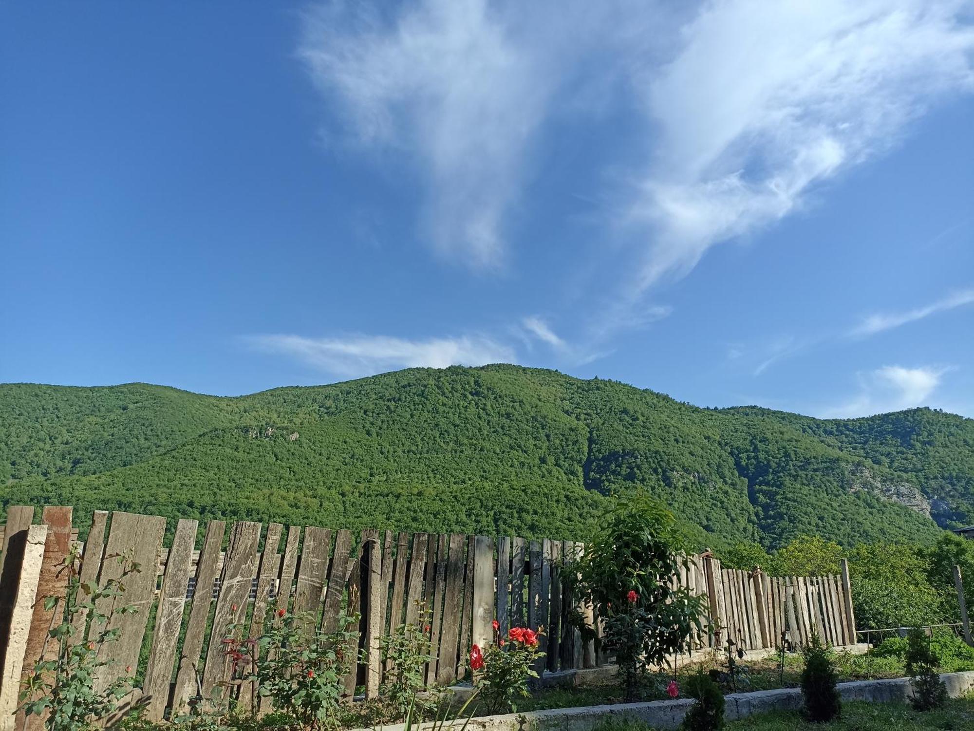Green Garden Կանաչ Այգի Иджеван Екстериор снимка